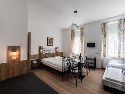 Terminus Hotel Vienne